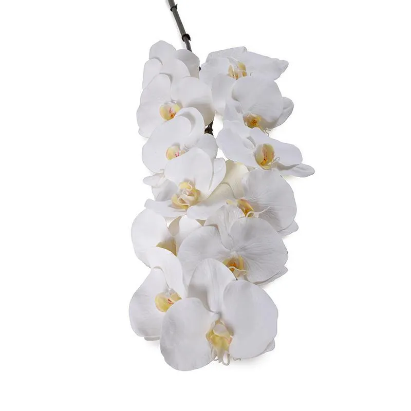 Phalaenopsis Orchid x 12 Stem 44"L